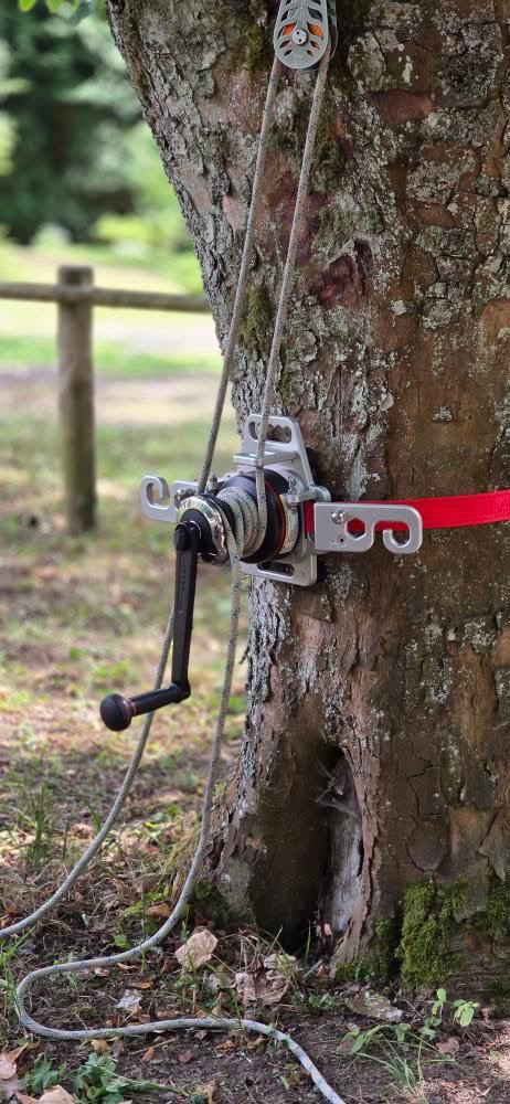 TreeTugger riggingsystem montert på et tre