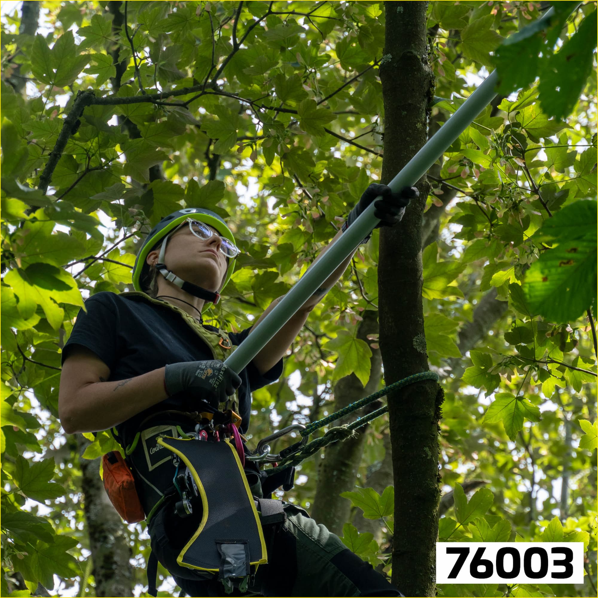 Berger ArboRapid Carbon 380 Stang
