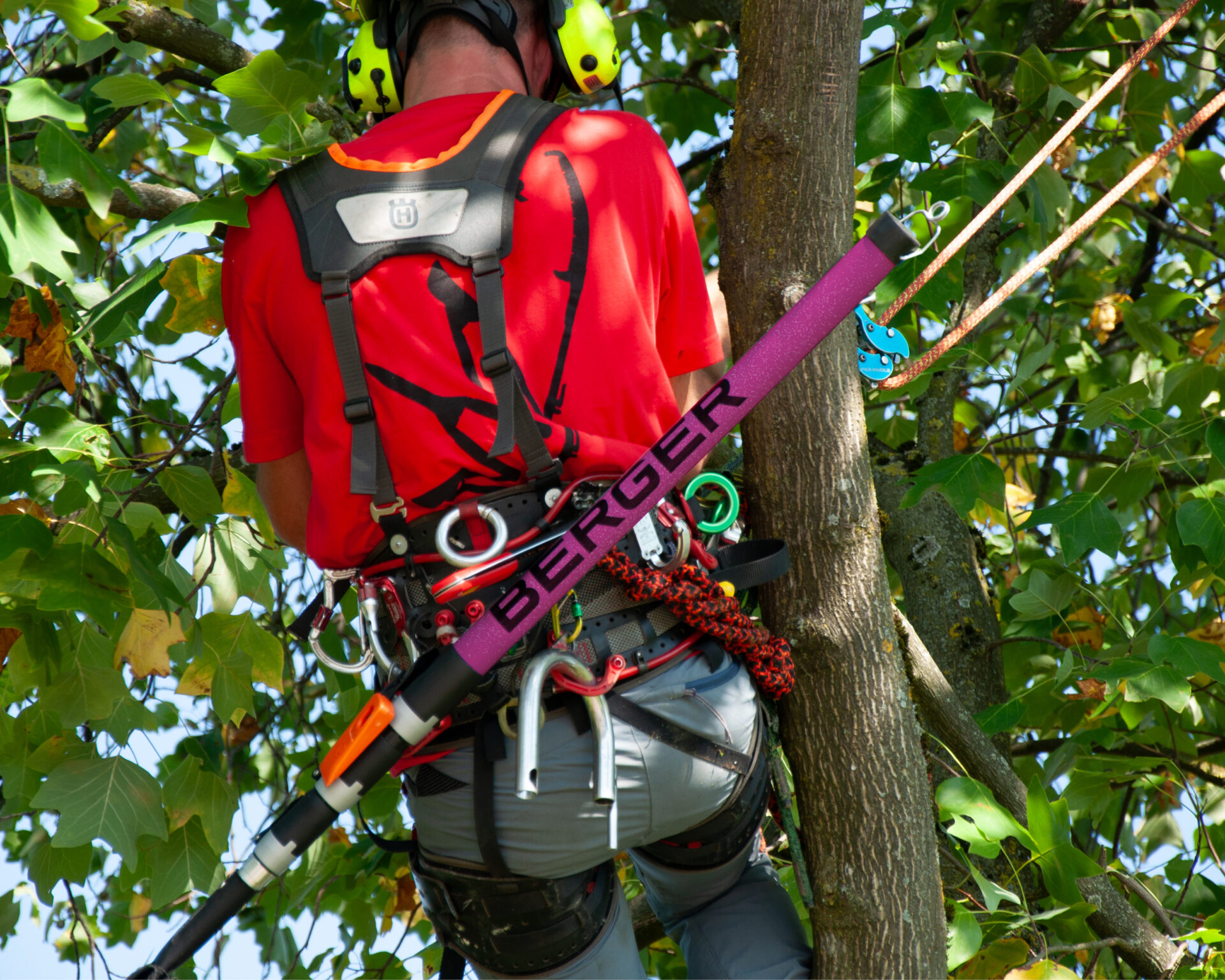 Berger ArboRapid Carbon365 PINKtober stang