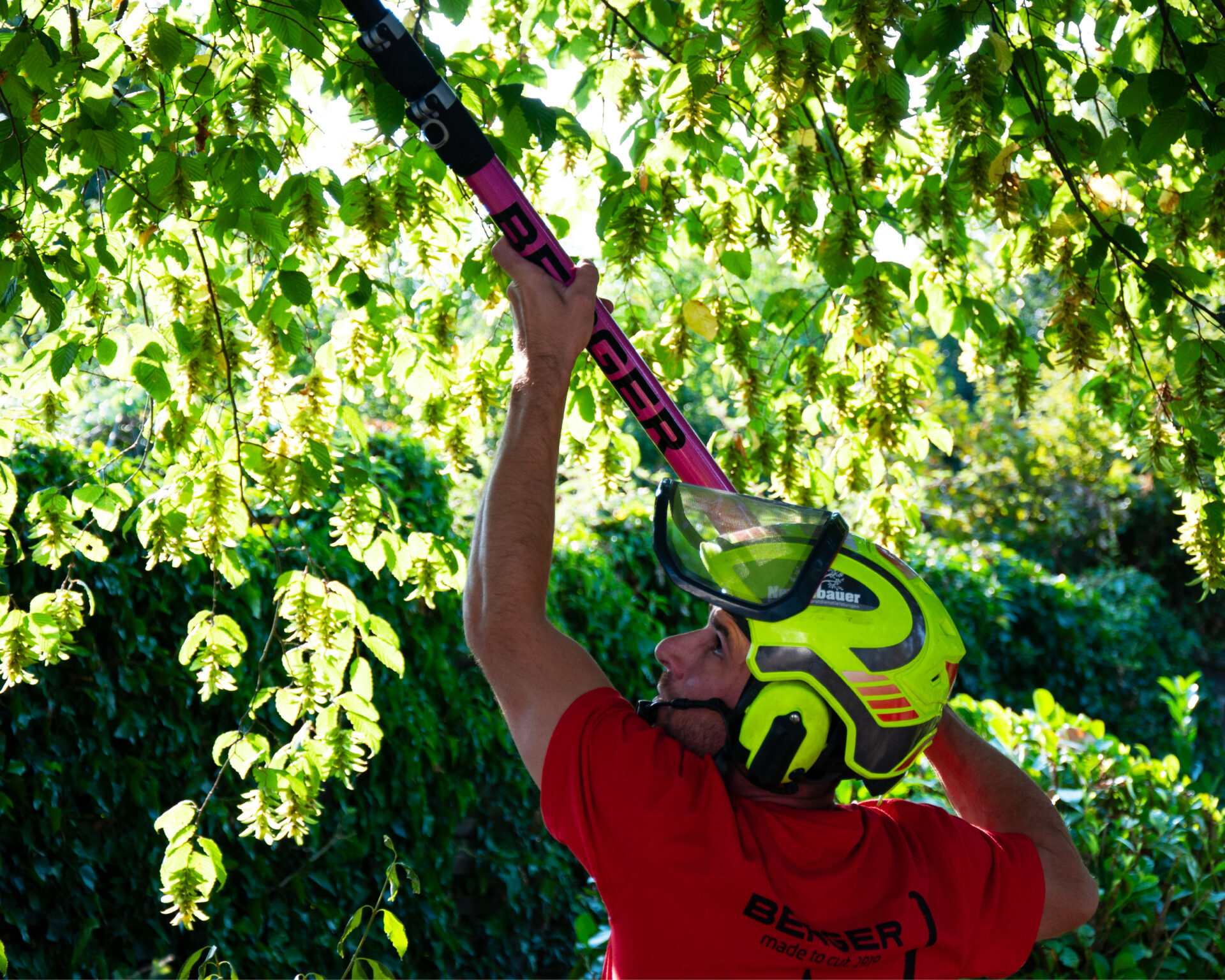 Berger ArboRapid Carbon365 PINKtober stang