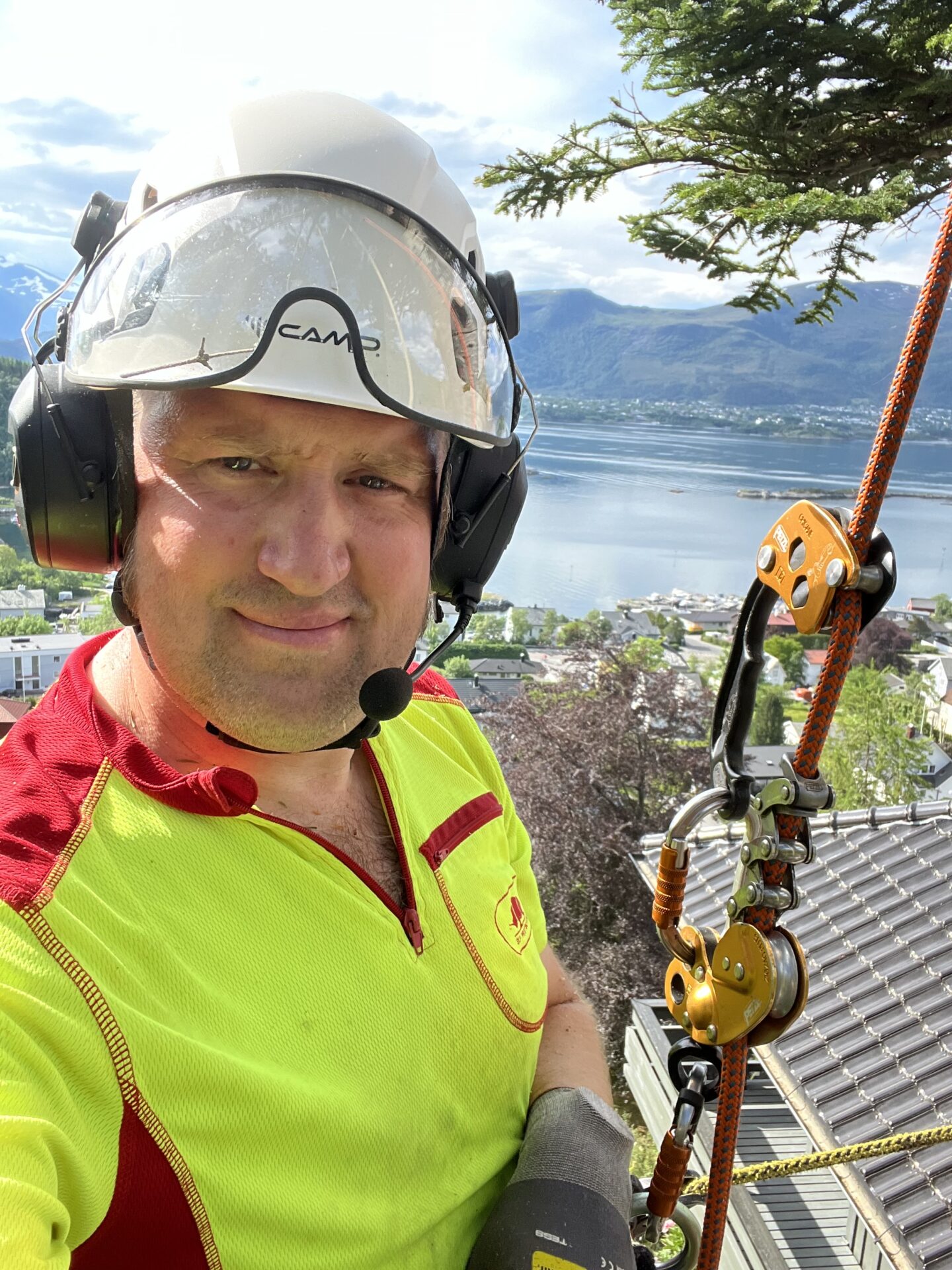 Daniel Armitage i arbeid som arborist